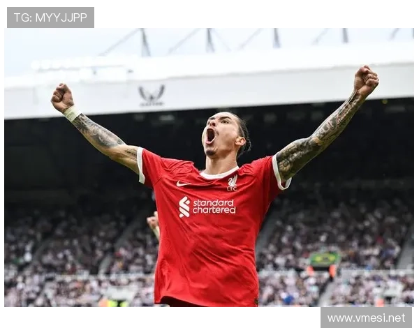 南美锋线新星对决：阿尔瓦雷斯vs努涅斯，效率与适配差异在哪？