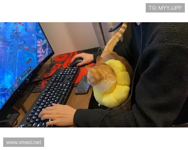 何卓佳，比赛一副冷面杀手样，私下像个花钱大佬，怎么看都像别人家的生活